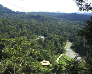 Utsikt från berget ovan Borneo Rainforest Lodge - husen på bilden är delar av lodgen