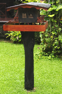 Fågelbord i trädgården på Sakau Rainforest Lodge