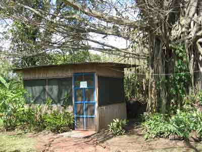 Klassrummet under Guacima-trädet